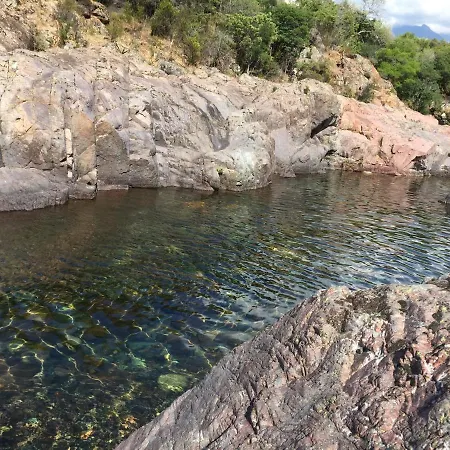 Maison Pauline Galeria (Corsica)